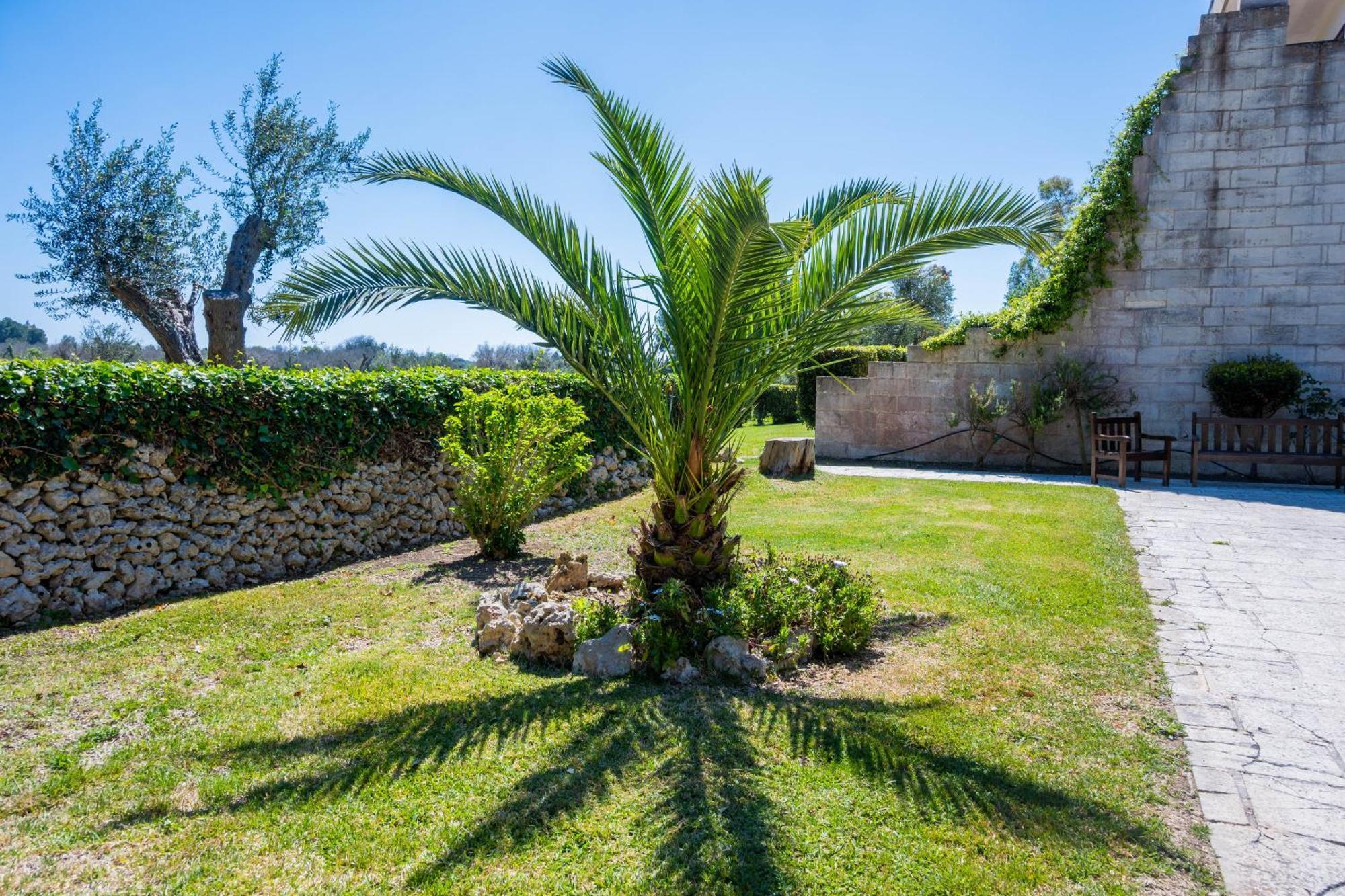 Agriturismo Masseria Del Bosco Makyva Borgagne Exterior photo